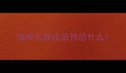 瑞辉五联疫苗预防什么