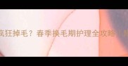 哈士奇五月份疯狂掉毛春季换毛期护理全攻略附亲测有效方法