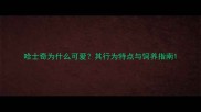 哈士奇为什么可爱其行为特点与饲养指南