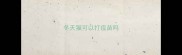 冬天猫可以打疫苗吗
