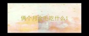 俩个月金毛吃什么