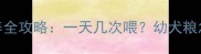 拉布拉多幼犬喂养全攻略一天几次喂幼犬粮怎么选新手必看