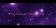 2个月大幼犬断尾全攻略科学流程与风险防范指南