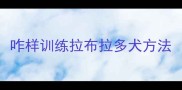 咋样训练拉布拉多犬方法