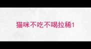 猫咪不吃不喝拉稀