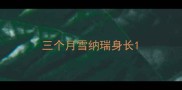 三个月雪纳瑞身长