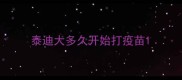 泰迪大多久开始打疫苗