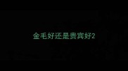 金毛好还是贵宾好