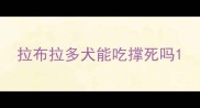 拉布拉多犬能吃撑死吗