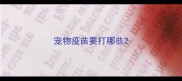 宠物疫苗要打哪些