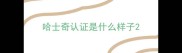 哈士奇认证是什么样子