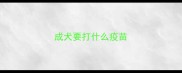成犬要打什么疫苗