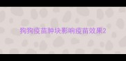 狗狗疫苗肿块影响疫苗效果