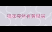 猫咪突然有黄眼屎