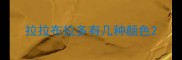 拉拉布拉多有几种颜色