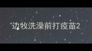 边牧洗澡前打疫苗