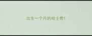 出生一个月的哈士奇