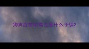狗狗疫苗前需注意什么手续