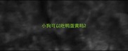 小狗可以吃鸭蛋黄吗
