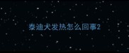 泰迪犬发热怎么回事