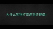为什么狗狗打完疫苗还得病
