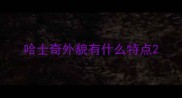 哈士奇外貌有什么特点