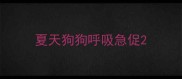 夏天狗狗呼吸急促