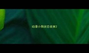 动漫小狗状态装束