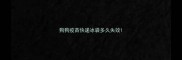 狗狗疫苗快递冰袋多久失效
