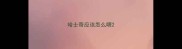 哈士奇应该怎么喂