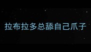 拉布拉多总舔自己爪子