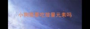 小狗需要吃微量元素吗