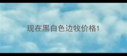 现在黑白色边牧价格