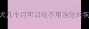幼犬几个月可以吃不用泡软的狗粮
