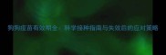 狗狗疫苗有效期全科学接种指南与失效后的应对策略